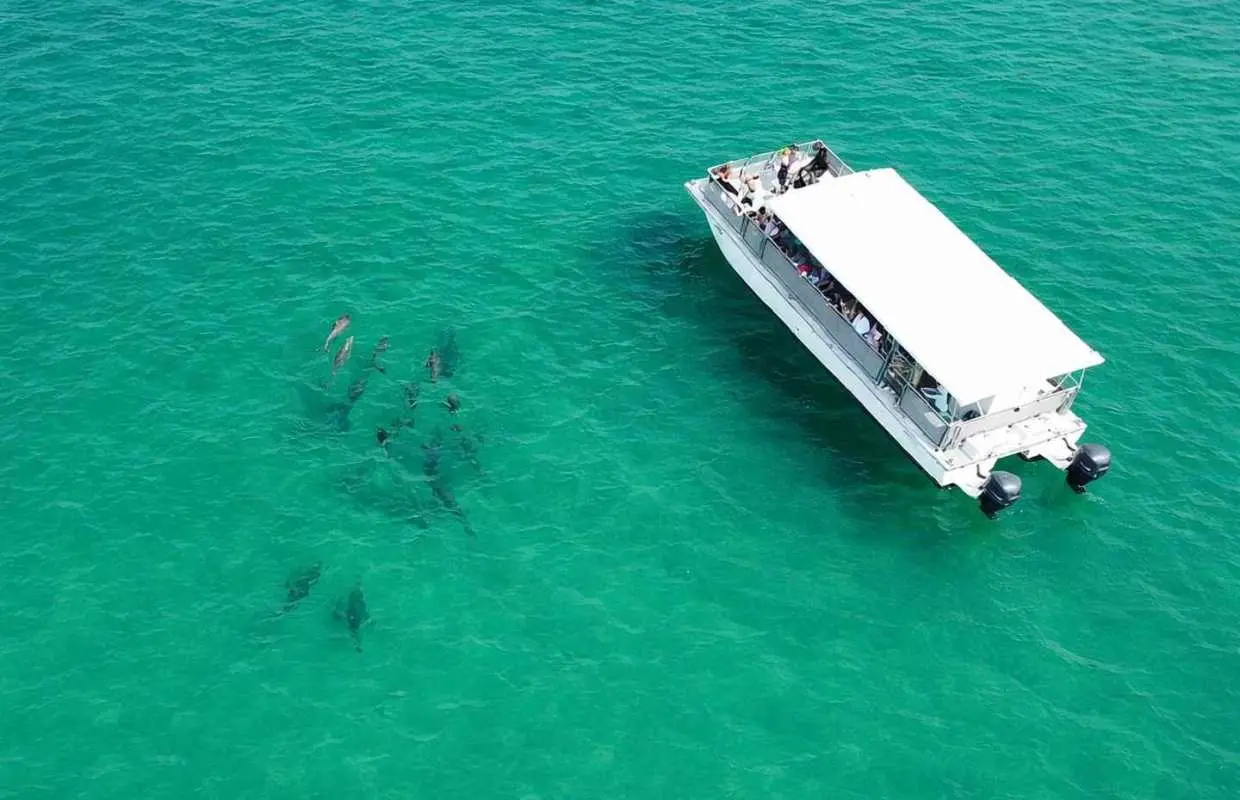 Shell Island Nature & Marine Viewing Tour｜United States
