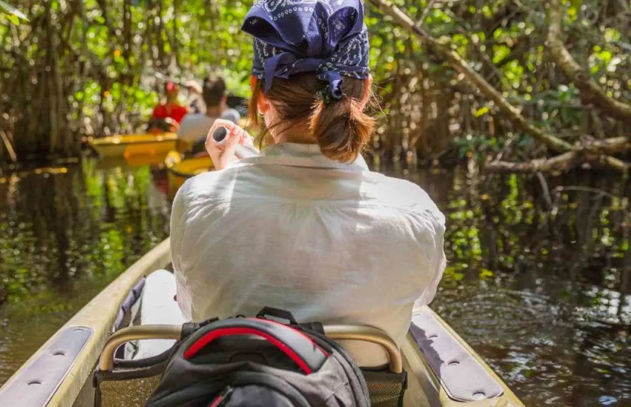 Mangrove Tunnel Kayak Tour on Lido Key, Sarasota｜United States