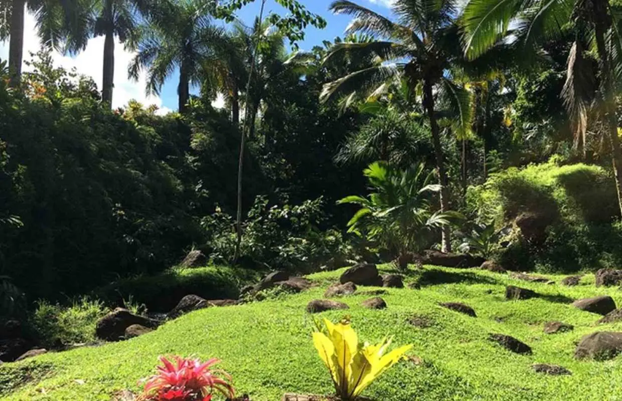 Princeville: Guided Botanical Gardens and Chocolate Tour｜United States