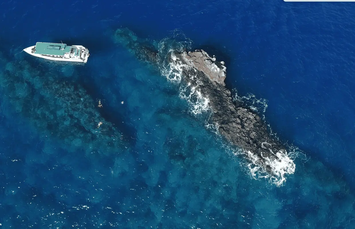 Maui: Lanai Island Snorkeling Tour with Snacks & Drinks｜United States