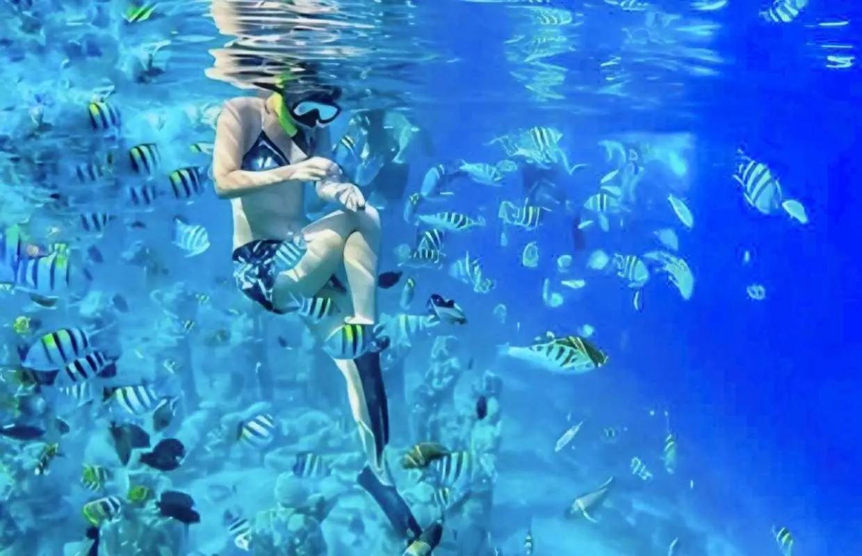 Half-day Private Snorkeling Tour with GoPro Documentation | Deaprture Gili Trawangan, Gili Meno, Gili Air, Lombok
