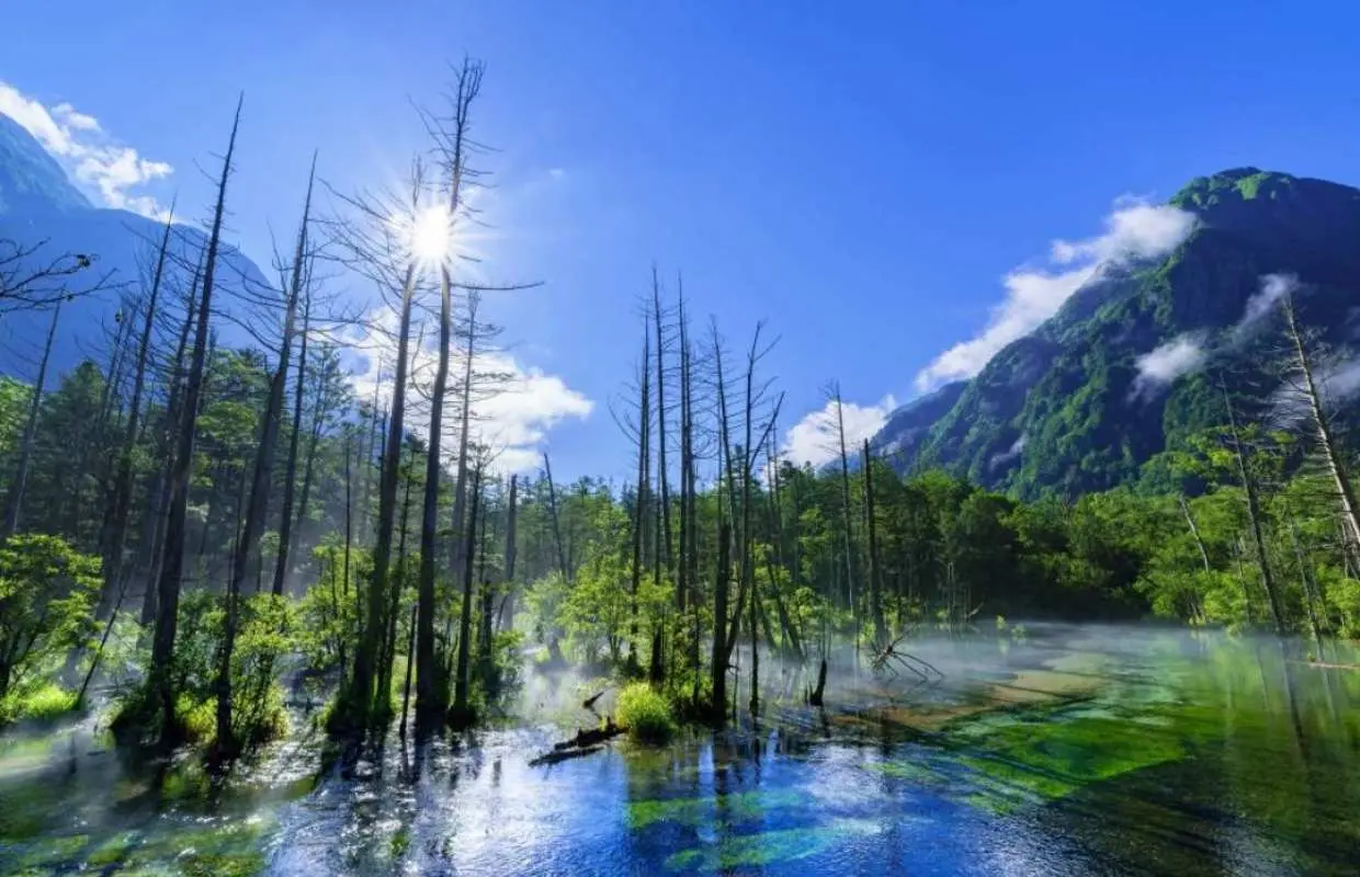 Khởi hành từ Nagoya | Tuyến đường đi bộ đường dài cổ điển ở Kamikochi - Tour trọn gói một ngày