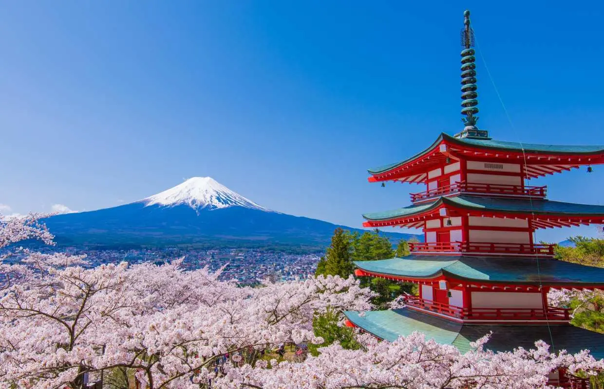 【1人成團】富士山河口湖絕景一日遊｜新倉山淺間公園、河口湖 Craft Park、大石公園、西湖療癒之鄉根場｜可升級獨家A5頂級黑毛和牛「神戶牛」