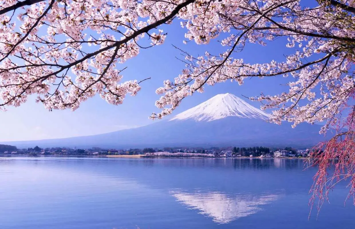 富士山私人包車一日遊｜東京出發・專屬司機接送・彈性客製化行程