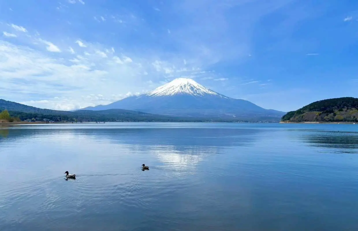 日本富士山三湖絕景一日遊｜山中湖・忍野八海・河口湖・大石公園・西湖根場合掌村（東京出發）