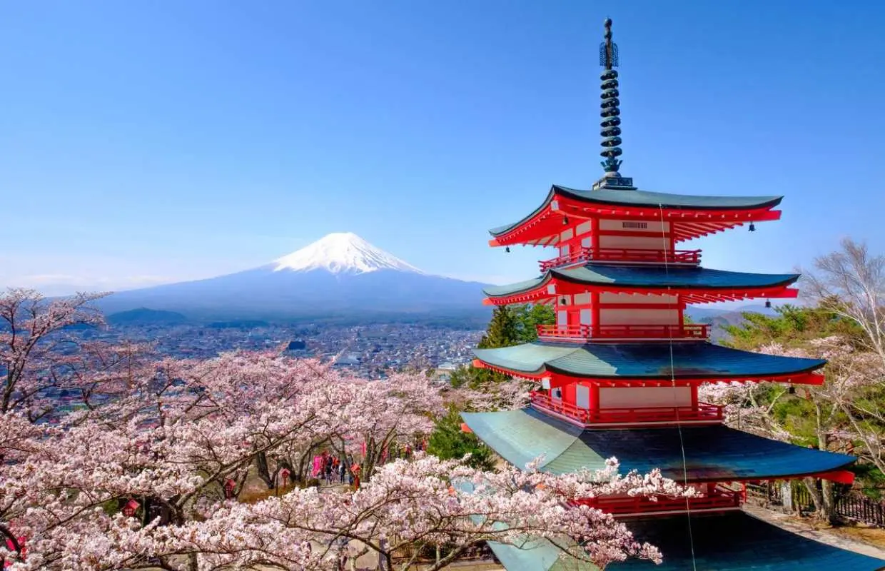 東京富士山一日遊｜河口湖・新倉山淺間公園・日川時計店・忍野八海・大石公園巡禮