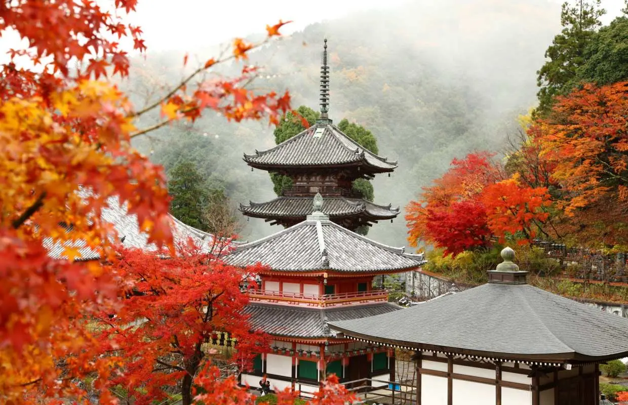 【大阪発】奈良紅葉スポット日帰りツアー｜東大寺、奈良公園、坪坂寺、世界遺産吉野山 - 紅葉鑑賞＆果物狩り体験（秋季限定）