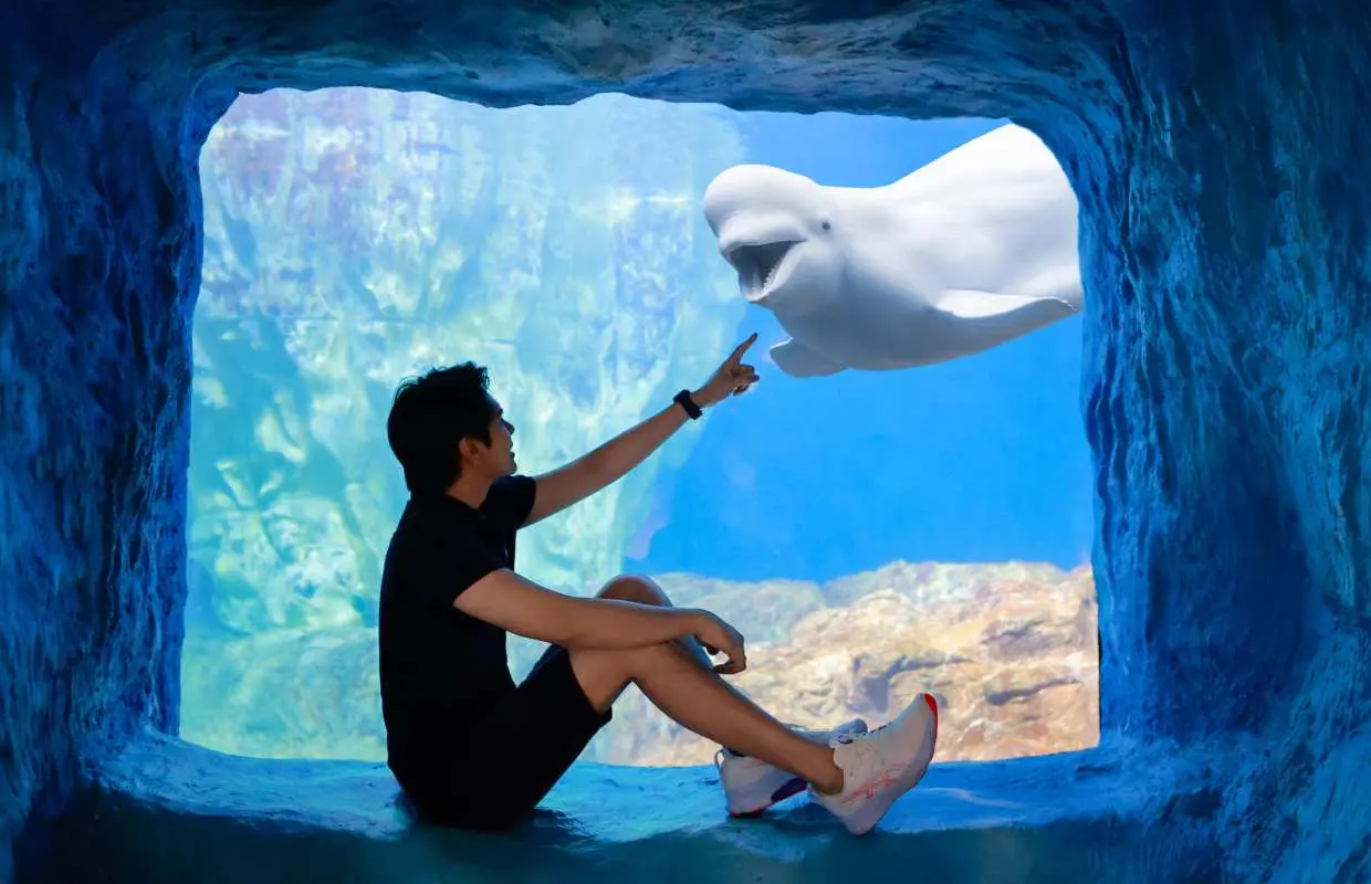 珠海长隆旅拍+专车接送套票