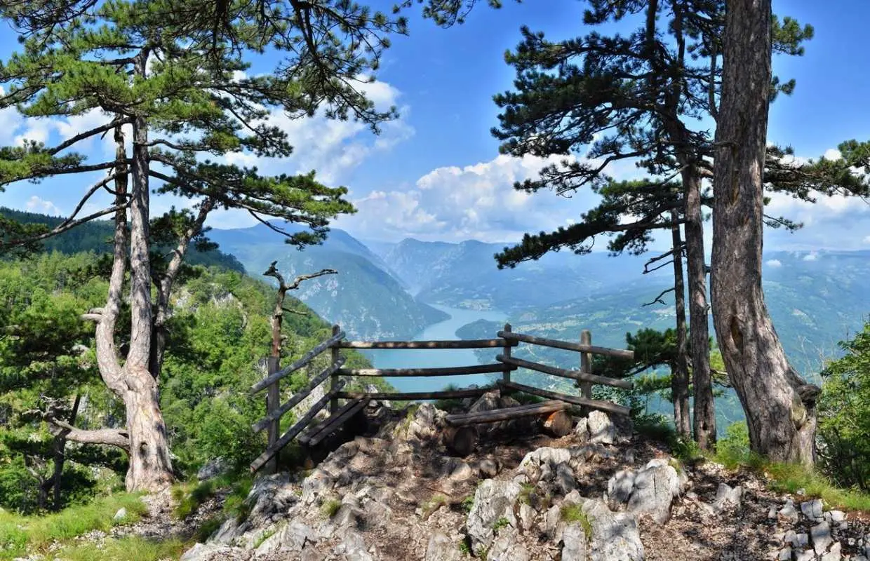 Belgrade: One-day tour of the Drina River cabins, Tara Park, and the bullet hole monument.