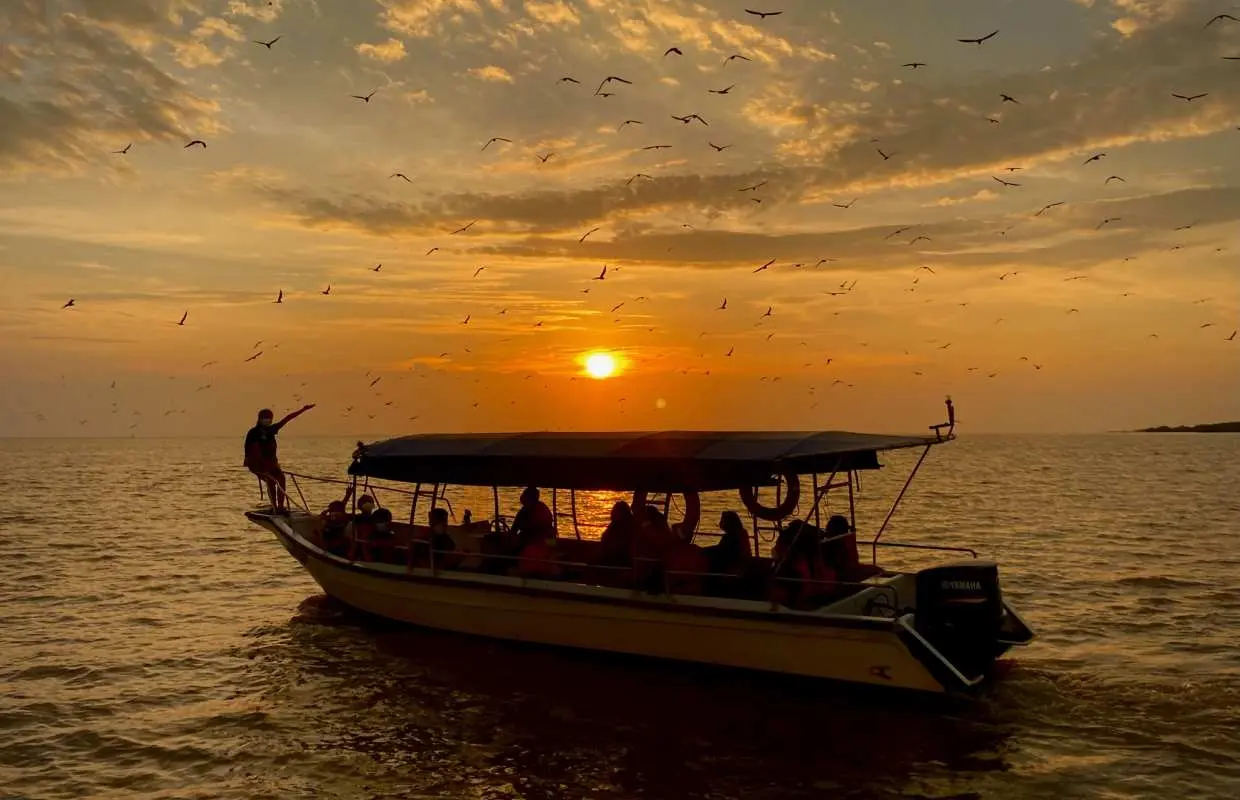 马来西亚瓜拉雪兰莪的日落喂鹰之旅，游客乘船欣赏水面上飞翔的雄鹰与壮丽晚霞。
