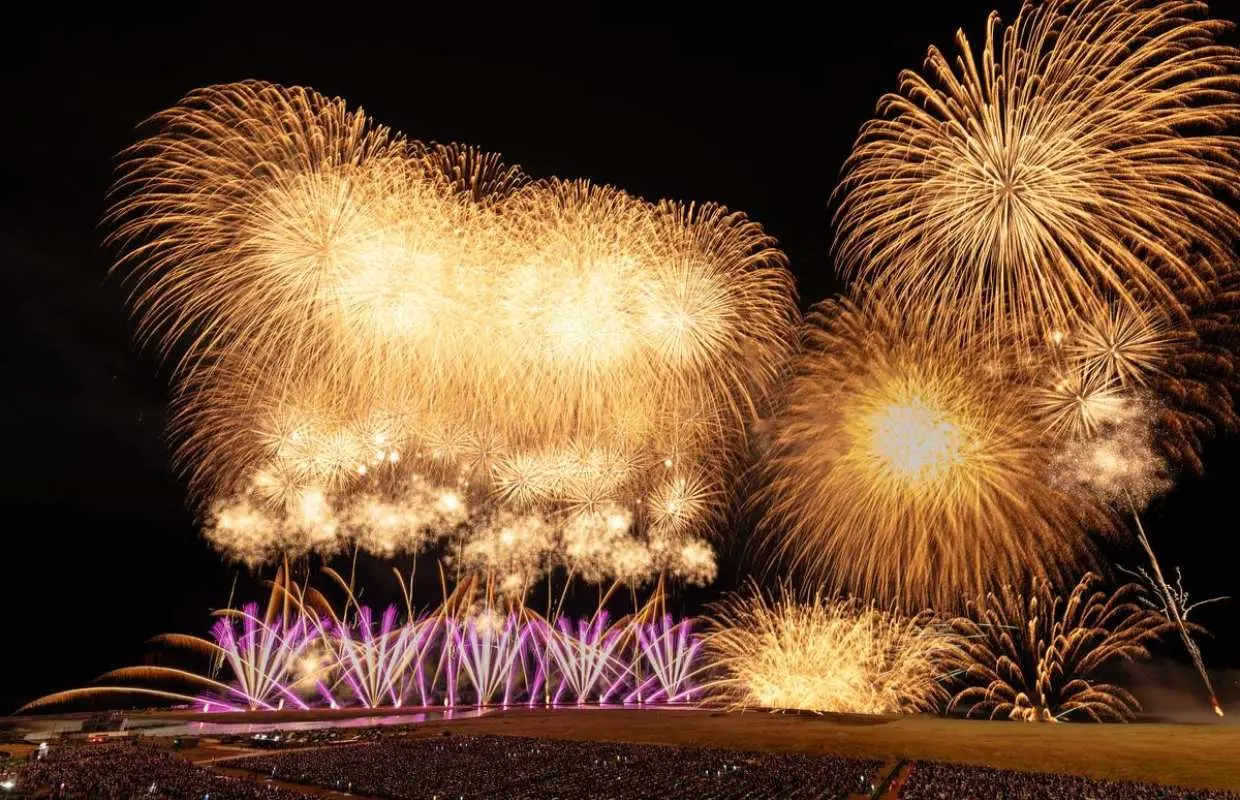 新潟 ぎおん柏崎まつり海の大花火大会 復路夜行バス2日間ツアー 有料マス席付 新宿発着