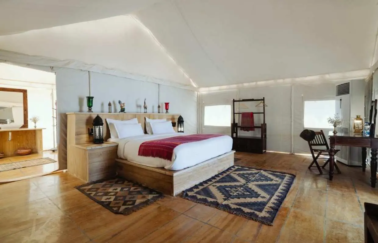 Frenzy Paradise Overnight Thar Desert Camping Tour