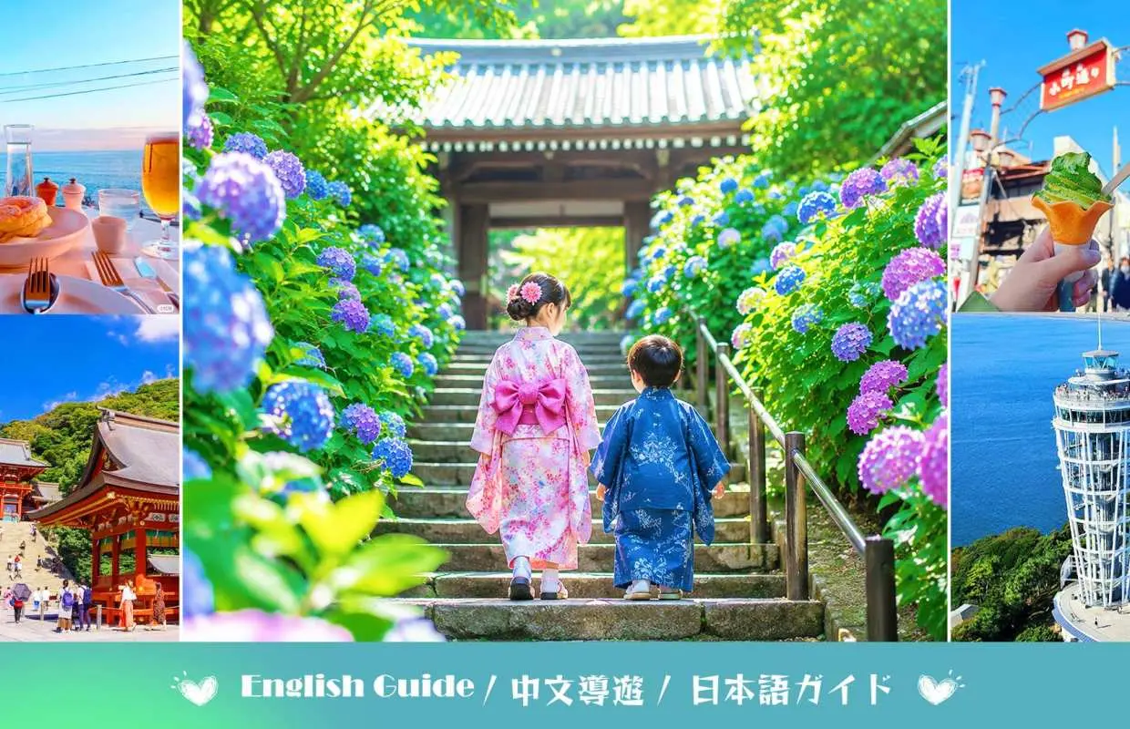 東京・鎌倉あじさい日帰り旅行 |長谷寺のあじさい畑、江の島の海、鶴岡八幡宮 |東京発