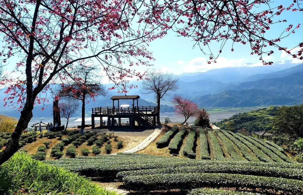 宜蘭 | 玉蘭景觀台 & 冬山河森林公園生態綠舟 | 山海星空・蘭陽銀河夜旅一日遊 | 台北/宜蘭出發