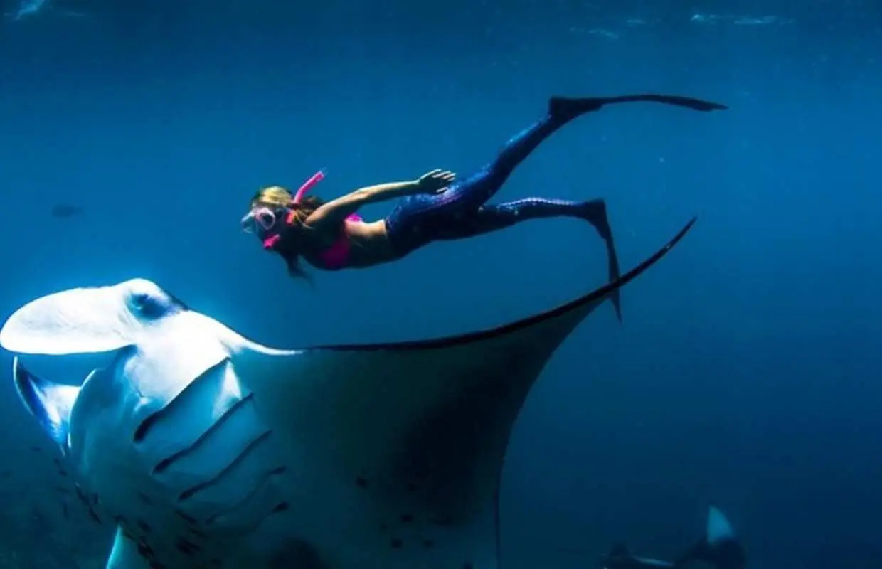 ดำน้ำตื้นที่เกาะบาหลี Nusa Penida Manta & ทัวร์เกาะตะวันตก | ออกเดินทางจากบาหลี