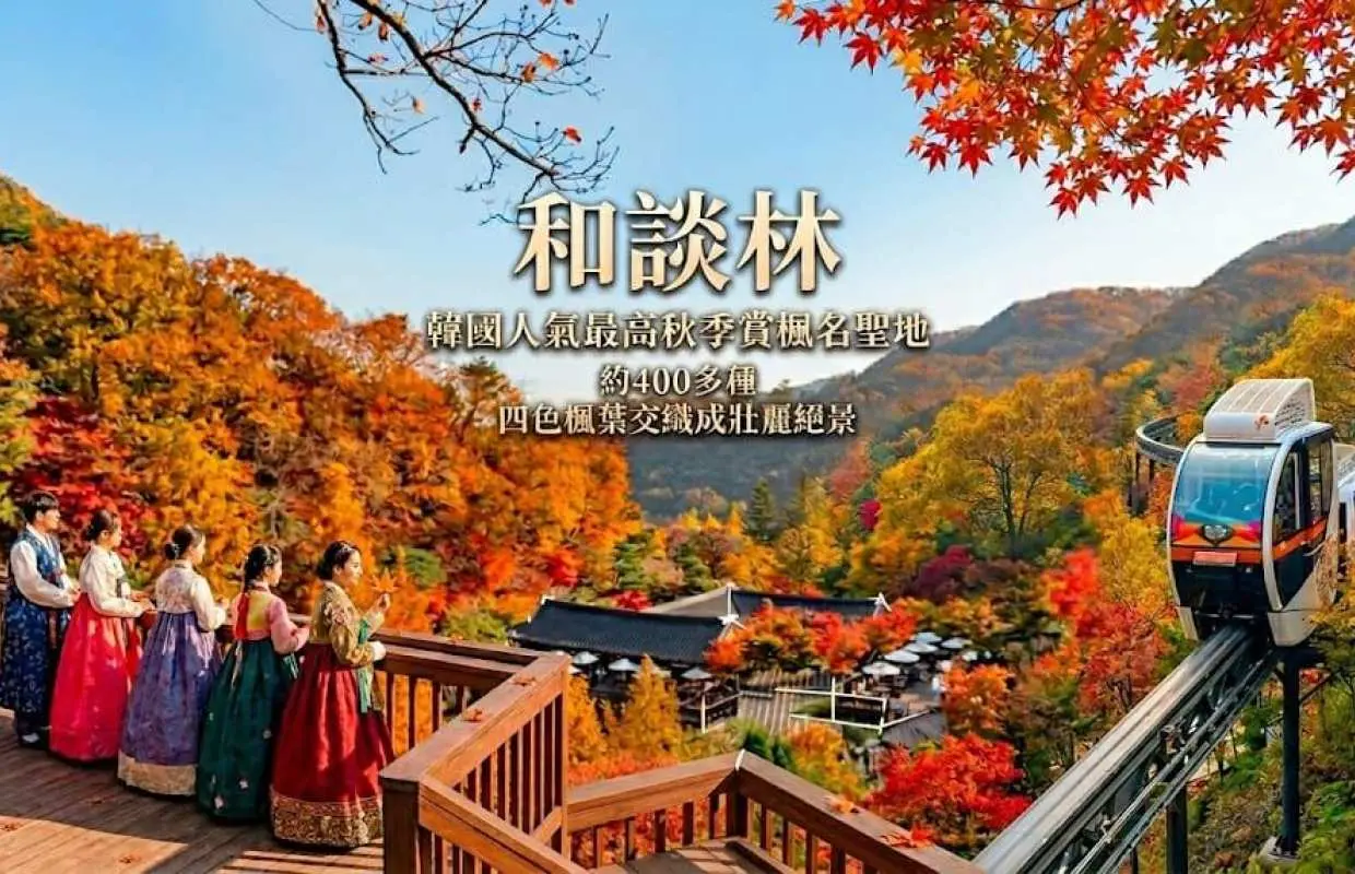 【期間限定オファー：2名様で599香港ドルから、1名様無料】韓国紅葉日帰り日帰りツアー｜花潭の森の紅葉隠れスポット＋Nソウルタワーの夕日撮影スポット＋人気のアートビューティーメイクアップストア｜花潭の森入場料＋特製しゃぶしゃぶランチ付き｜10月～11月ソウル発の期間限定秋季旅行｜1名様から催行