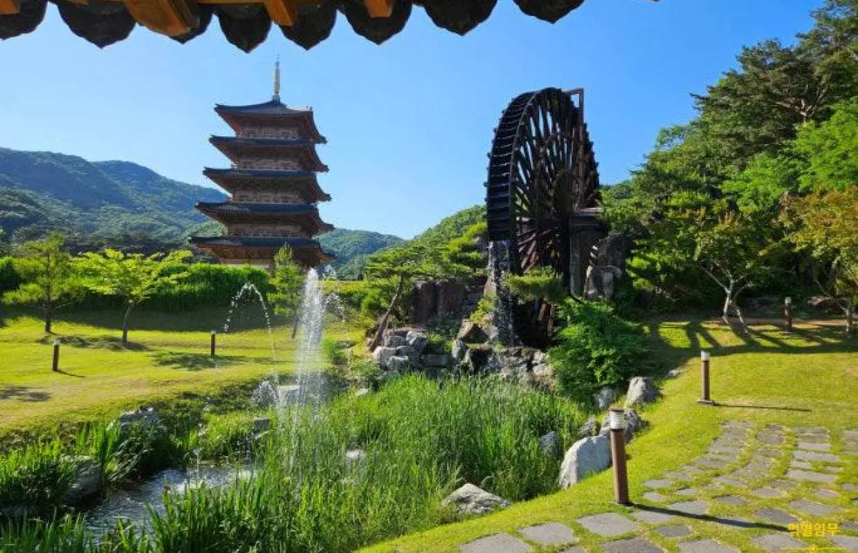 Gimcheon Nature & Healing One Day Escape