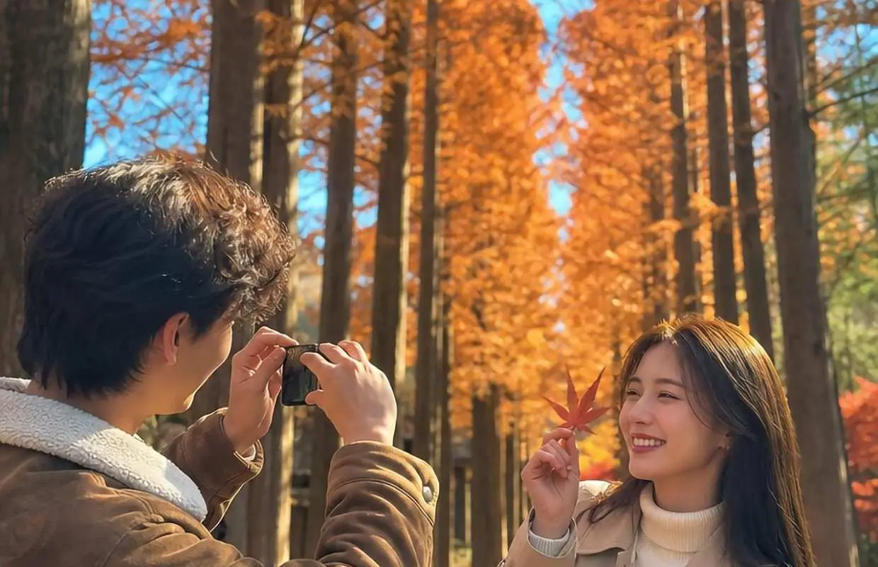 숨겨진 가을 단풍, 카페 포크포, 남이섬 등 | 당일 투어 | 서울 출발