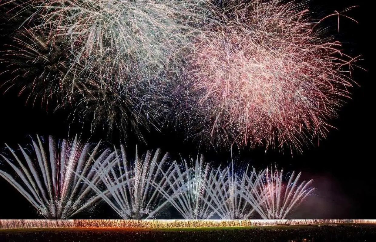 Ashikaga Fireworks Festival Day Trip Bus Tour (Departing from and returning to Tokyo)