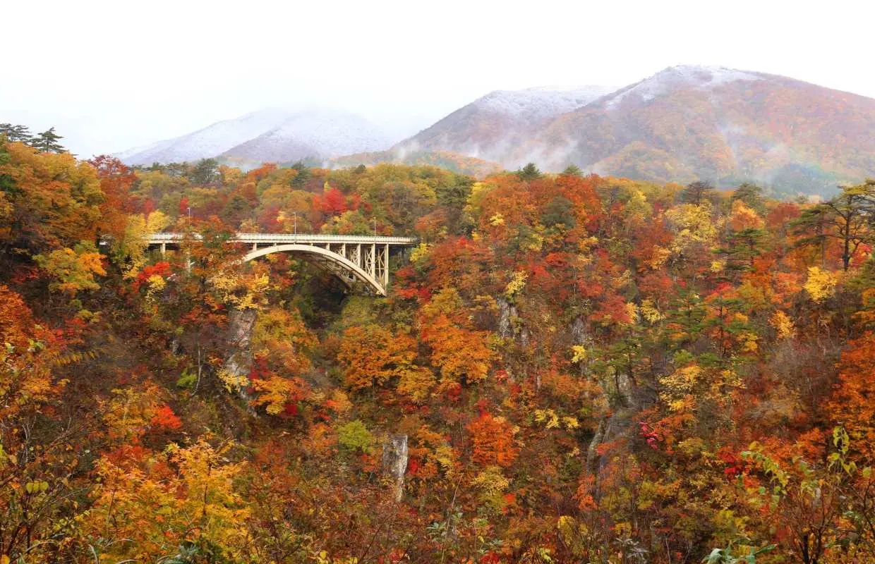 日本山形福島宮城｜鳴子温泉宿泊｜鳴子峡　山寺・銀山温泉・長老湖・横川渓谷ツアー｜2日間【東京発】