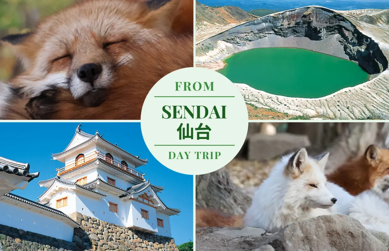 【Departure from Sendai】Volcanic Lake Okama & Miyagi Zao Fox Village Day Trip | Minimum 2 people required, Private transfer, Multilingual service (Miyagi Prefecture)