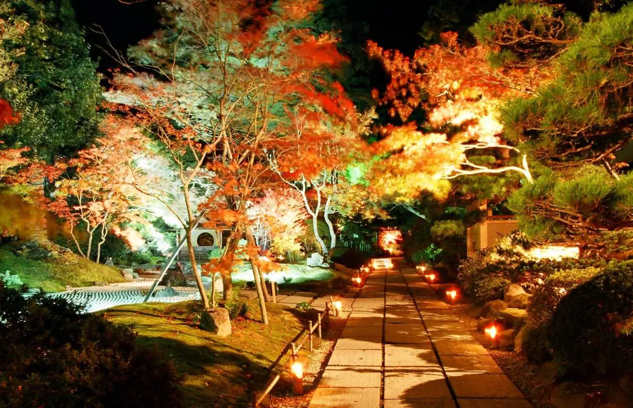 【仙台出發】松島兩日遊｜日本三大景松島賞楓＆夜間點燈＆海岸沿線深度旅遊｜溫泉飯店住一晚｜6人成團・專車接送・多語言服務（宮城縣）