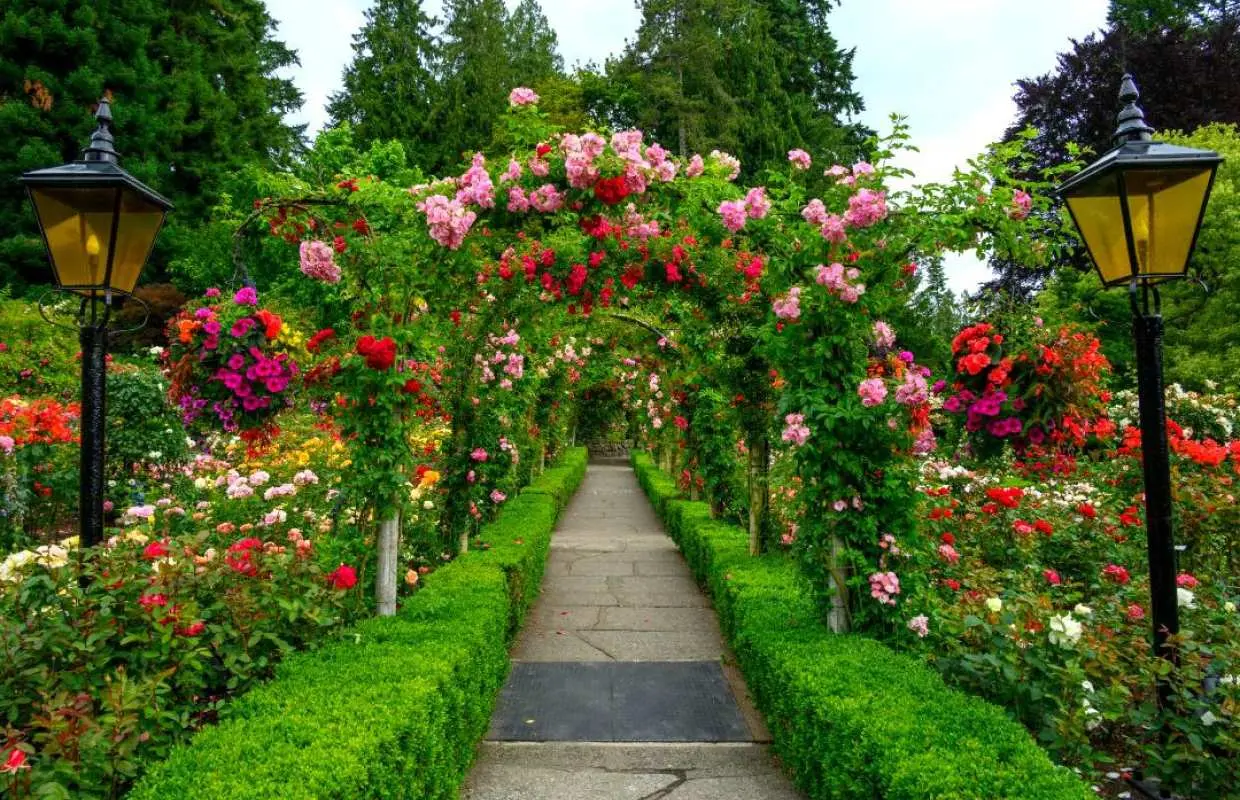 2-Day Tour of Vancouver and Victoria, Canada | Butchart Gardens / Marahat Skywalk / Cimenas