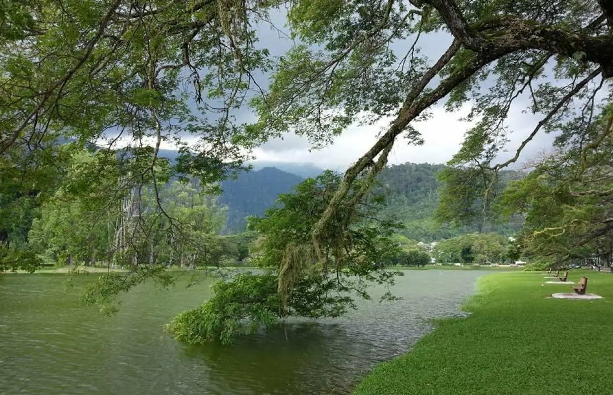 Penang Day Trip : Taiping & Traditional Crafts with Hotel Pick up & Drop off Service
