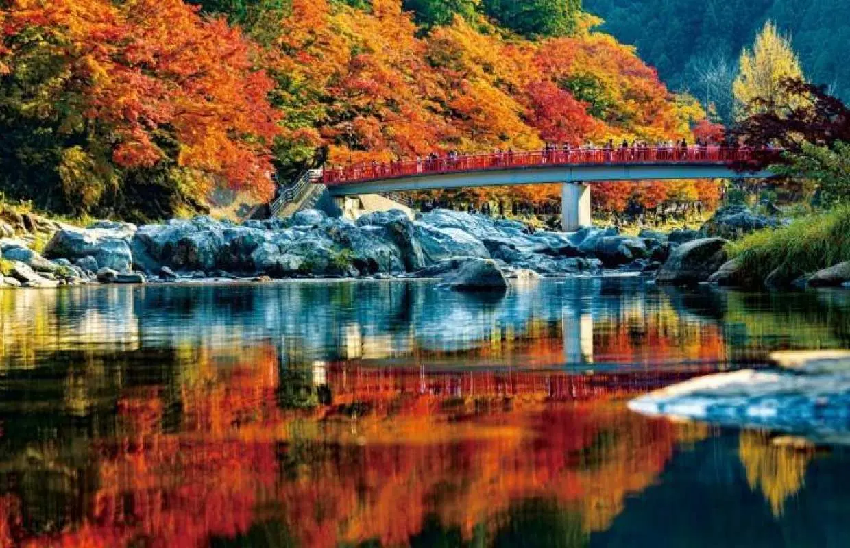 Tour ngắm lá mùa thu 2 ngày | Hẻm núi Korankei, hoa anh đào Obara Shikizakura, chùa Ryotanji và điểm ngắm lá mùa thu nổi tiếng "Ga hồ Oku-Oi" (2 ngày, khởi hành từ Tokyo)