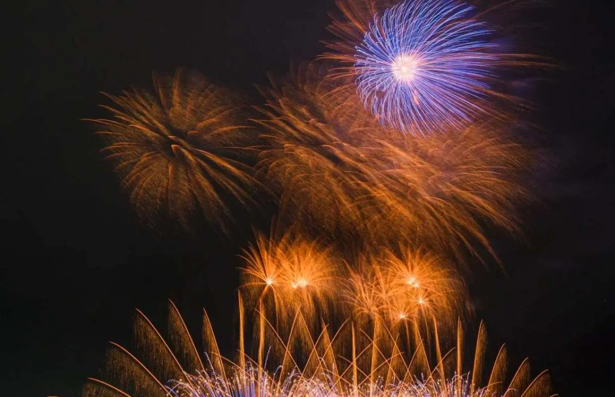 【秋季花火推荐】常总鬼怒川花火大会（约22000发）｜国营常陆海滨公园（含门票）｜东京出发