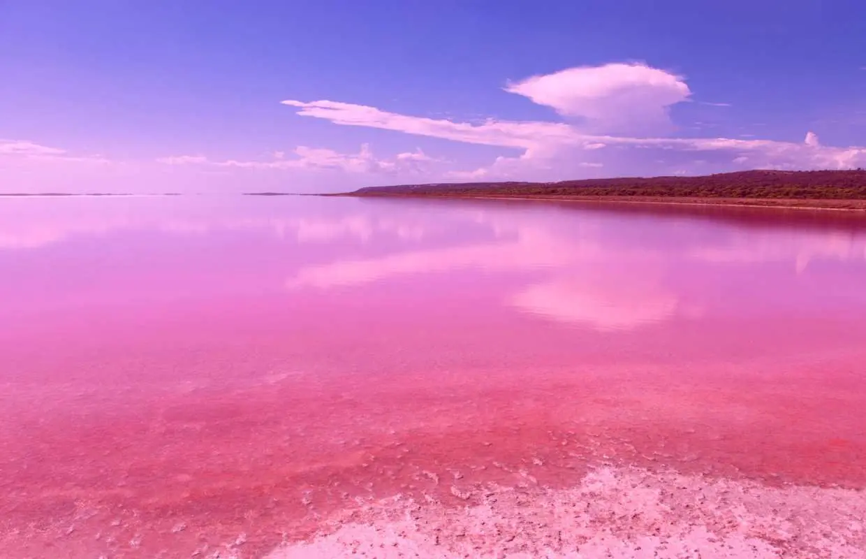 Perth Round Trip | 3-Day Tour of Pink Lake and Margaret River | Chinese Service / Pink Lake Photo Opportunity / Lancelin White Sand Dunes / Lobster Feast / Pinnacles
