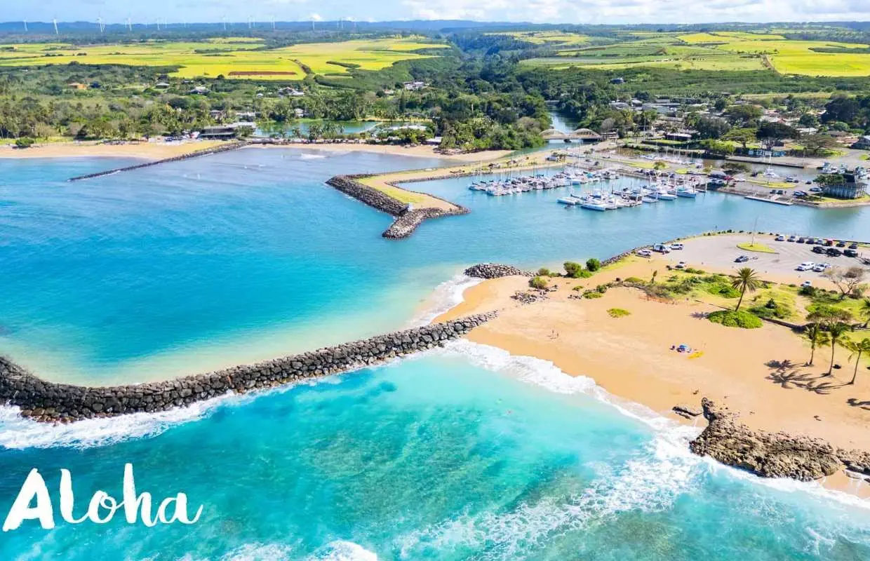 Hawaii, USA | Oahu Grand Island Tour | Koolau Valley | Macadamia Nut Farm | Sunset Beach | Dole Pineapple Plantation