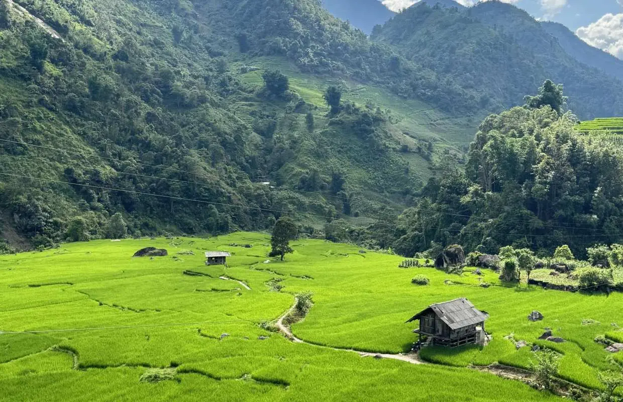 SaPa - Nam Cang | Hikking through Villages & Terraced Fields — 2-Day Tour | Departure from Hanoi