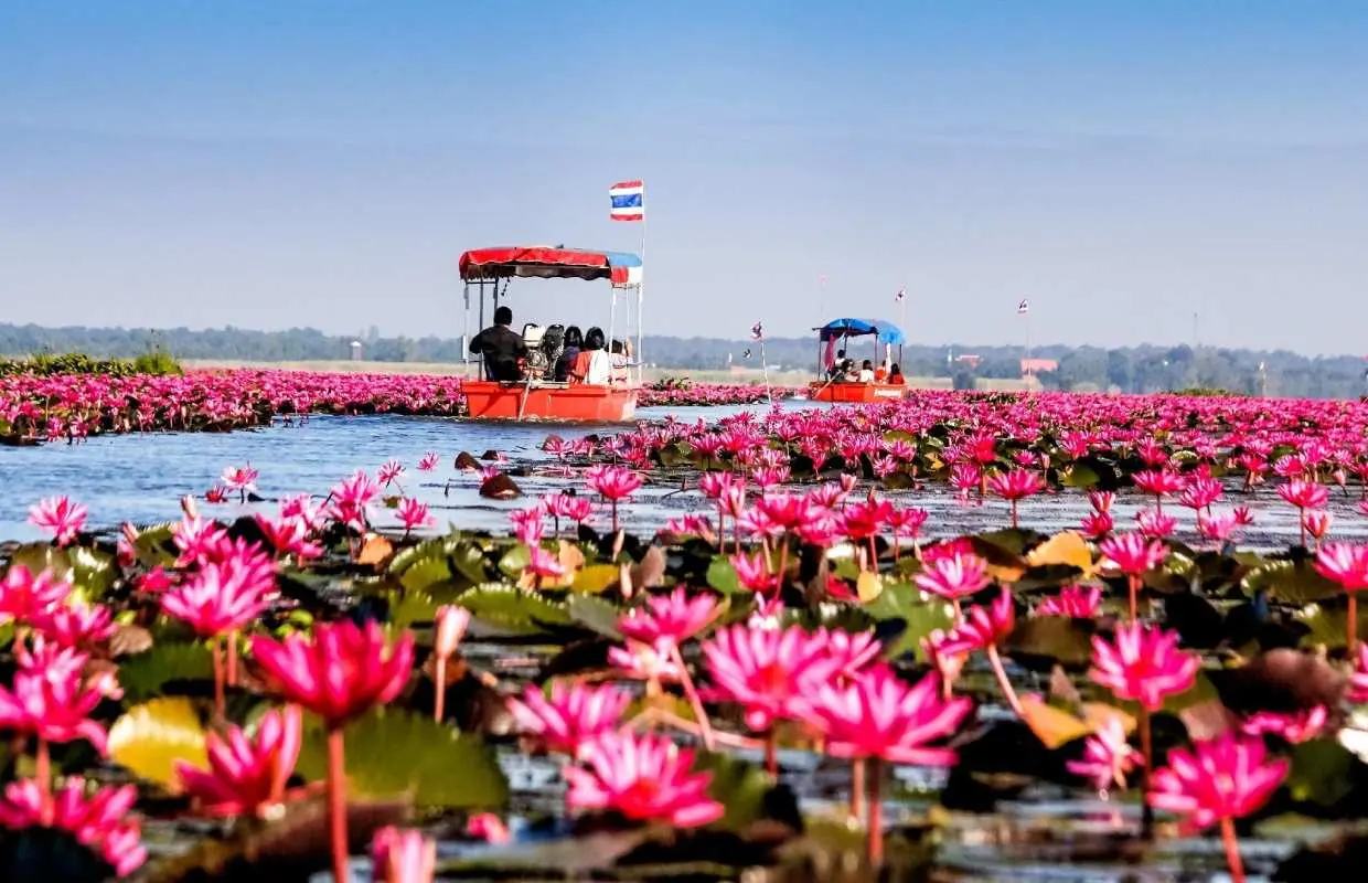 Private Transfer from Bangkok to/from Udon Thani | Thailand
