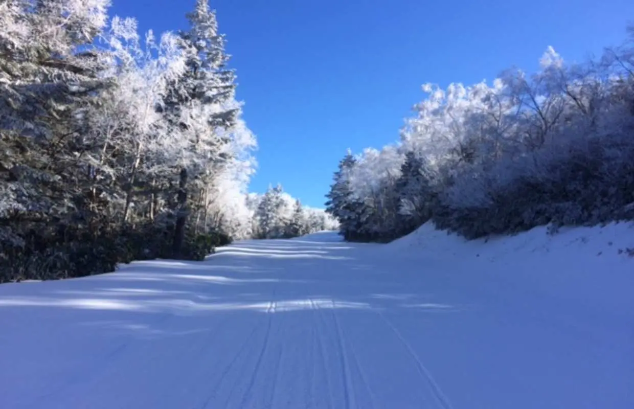 나가노 류오 스키장 오전 왕복 버스 + 리프트권 세트 예약 (신주쿠 출발)