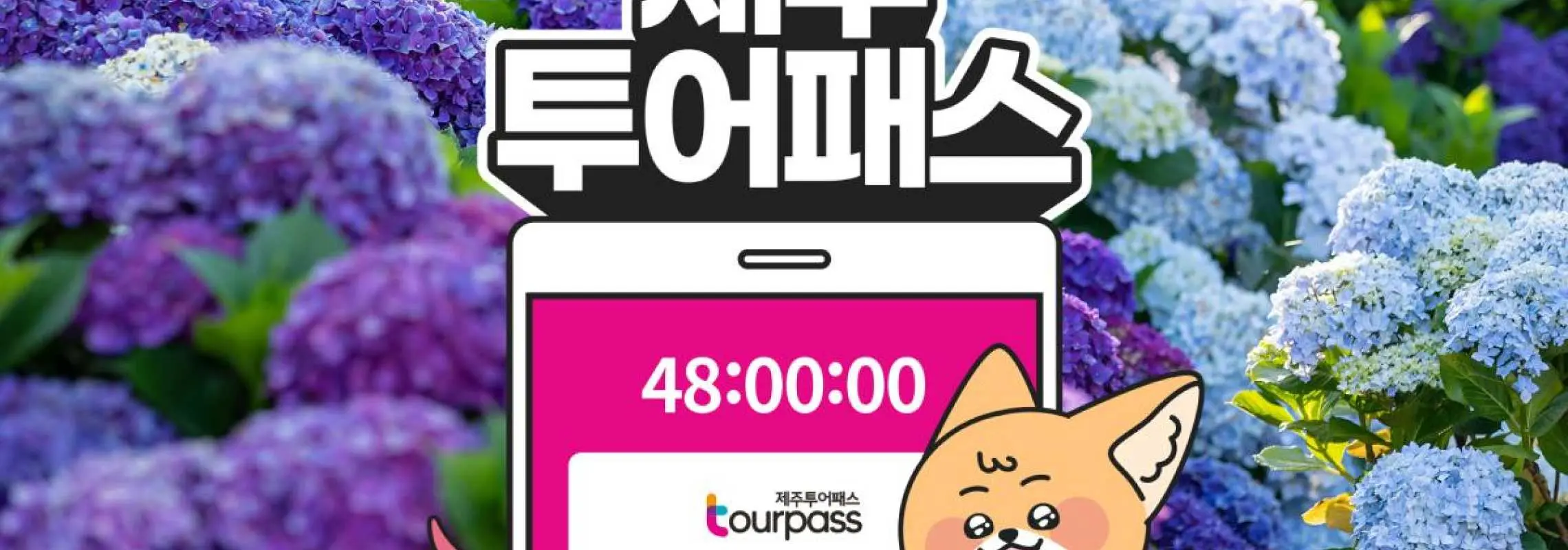 제주투어패스 프리패스 자유이용권