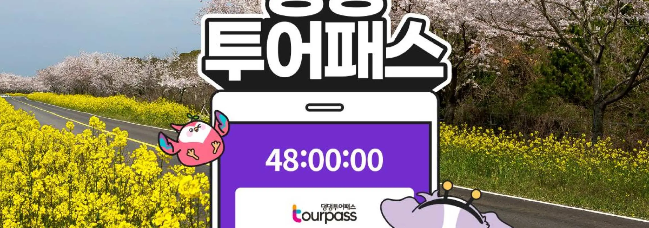 제주 반려견 동반 여행 댕댕투어패스