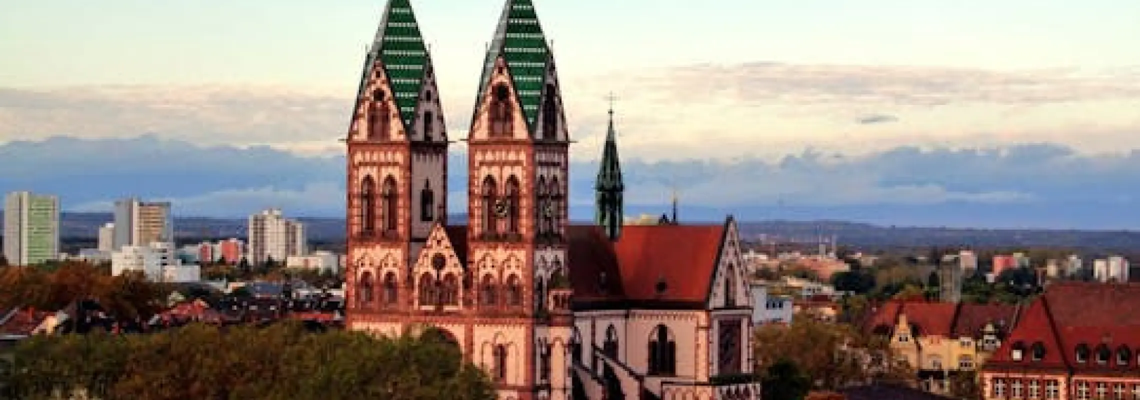 Freiburg private walking tour