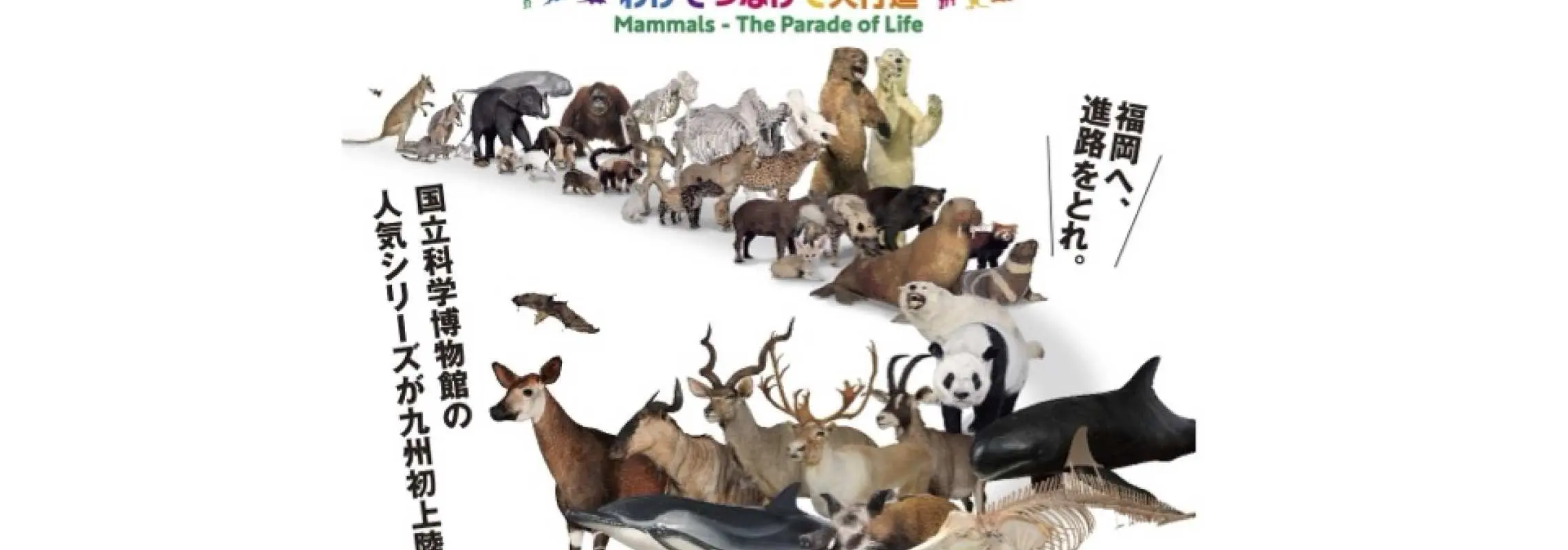 大哺乳類展―わけてつなげて大行進（福岡）