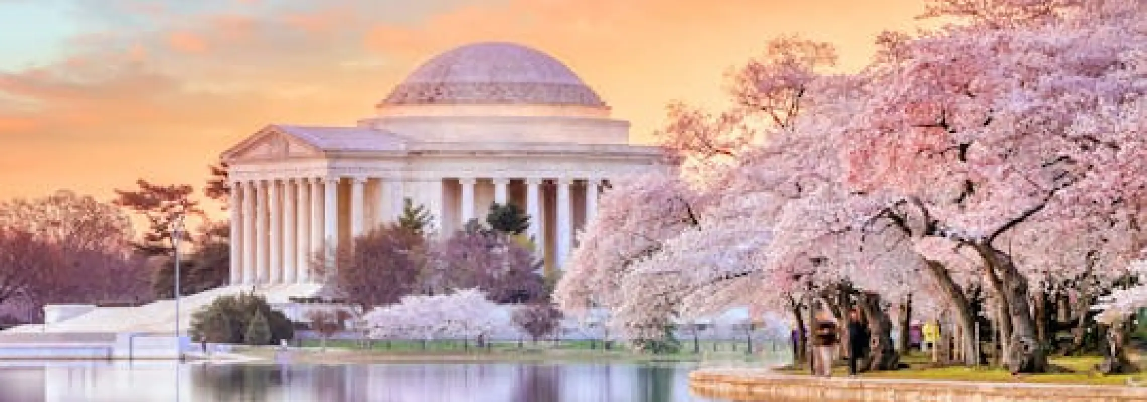 DC의 역사: 내셔널 몰(National Mall) 개인 도보 투어