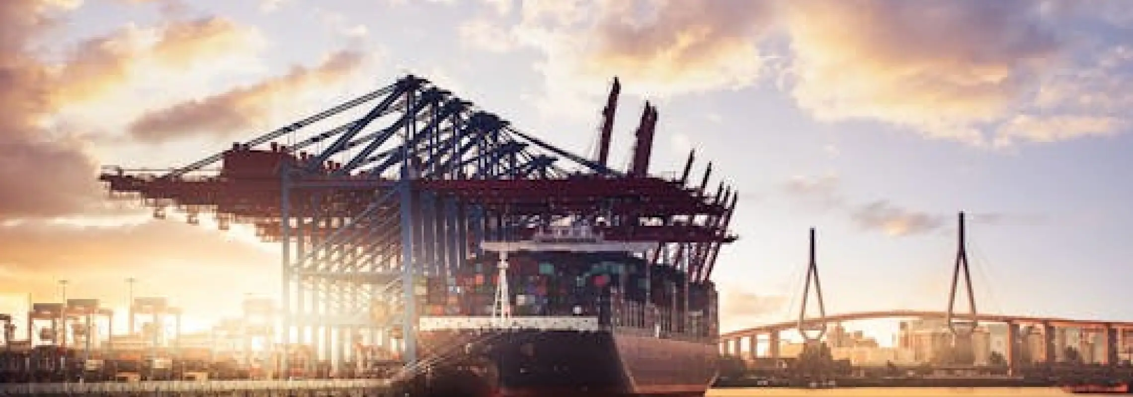 The great Hamburg harbor tour by bike