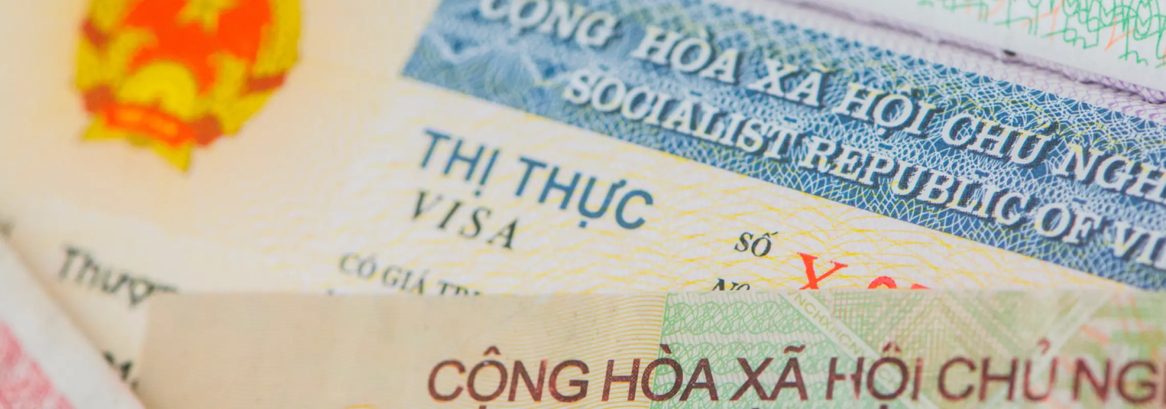 [Vietnam Visa] Express Service, Visa Processing in as Little as 1 Hour ...