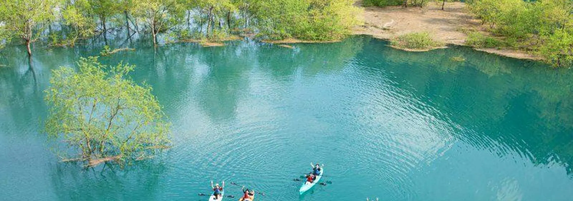 【期間限定】秋扇湖で水没林カヤックツアー