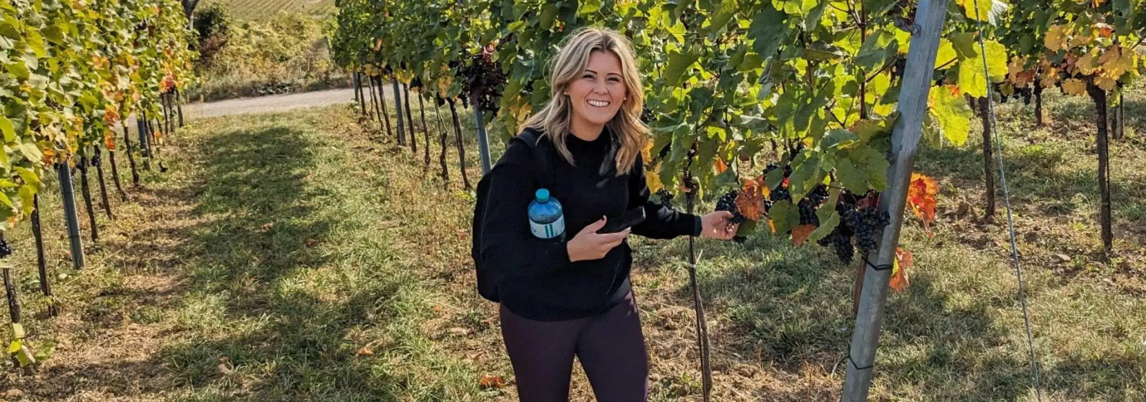 Vienna Wine Tour: Vineyards, Tastings & Local Flavours | Austria