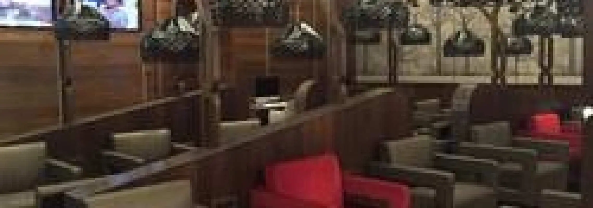 蘇巴斯·錢德拉·鮑斯機場(CCU) | Terminal 1 | Travel Club Lounge - Dom | 貴賓室服務