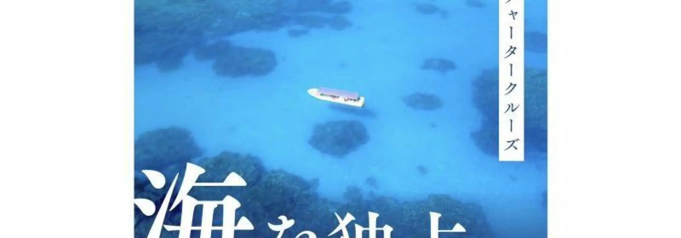 【完全私人包船】石垣島私人遊艇包船 | 半日遊（釣魚、浮潛、巡航 - 自由行）