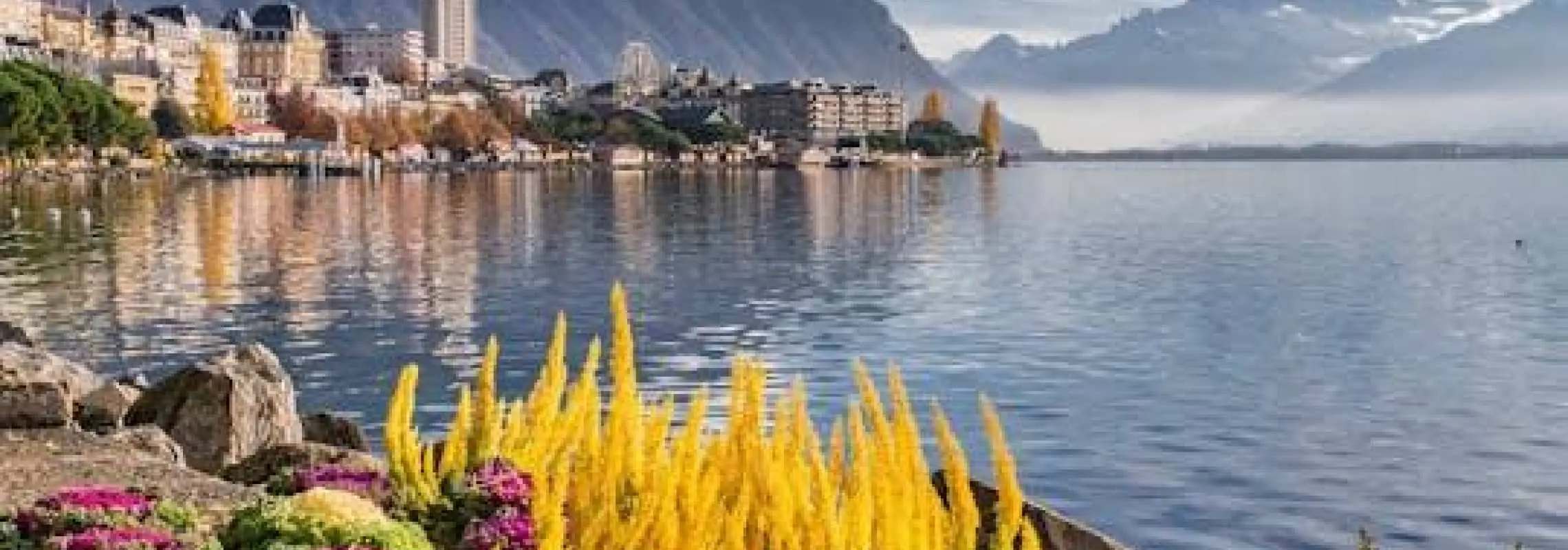 Montreux's most photogenic spots walking tour with a local