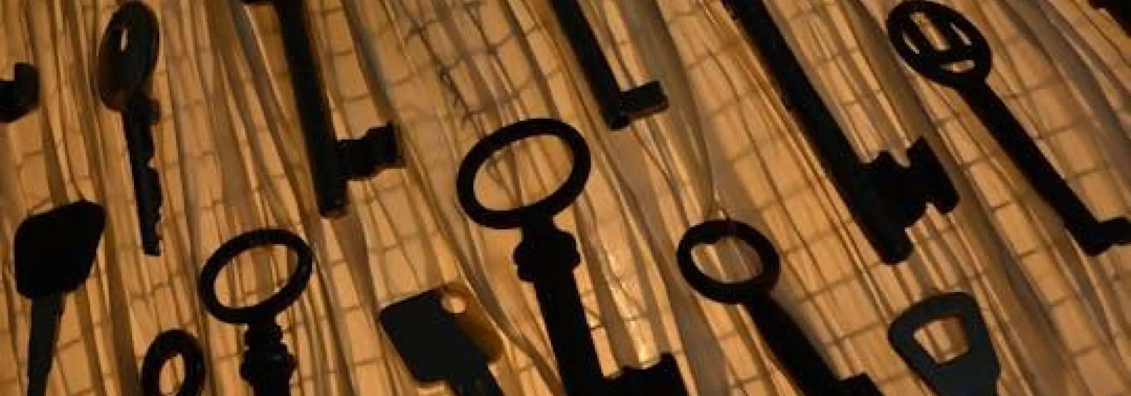 Interactive Escape Game Freiburg "Brother Berthold's formula from hell"