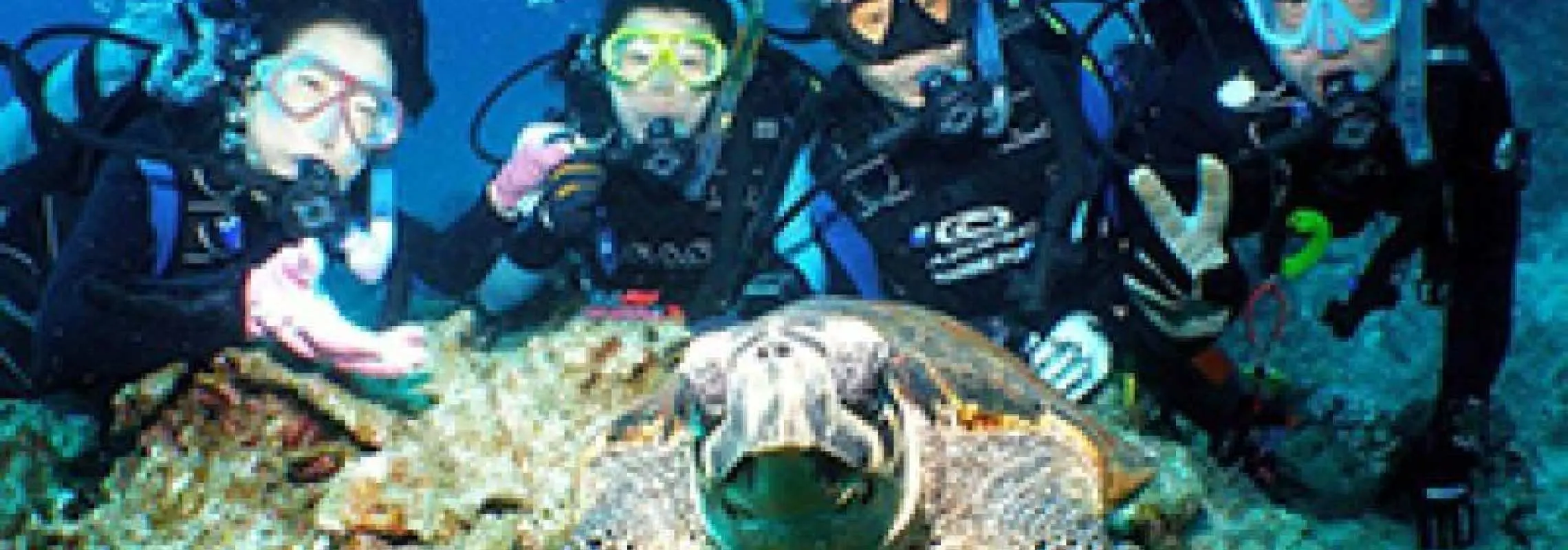 【沖縄・那覇・ファンダイビング】憧れのケラマFUNダイビング　1日プラン　水中写真プレゼント