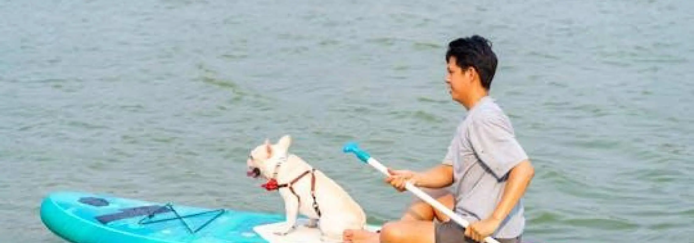 在塞维利亚体验90分钟带狗桨板冲浪